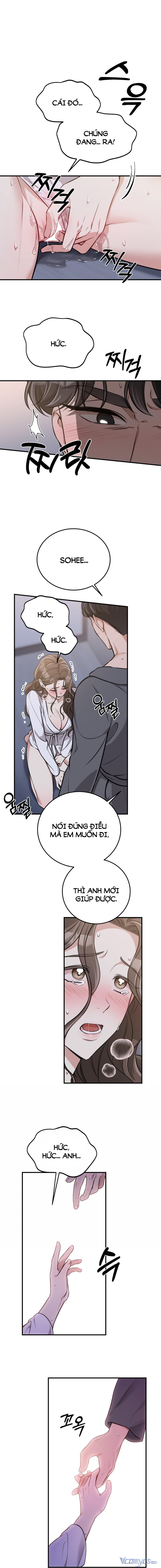 [18+] Cướp Dâu 