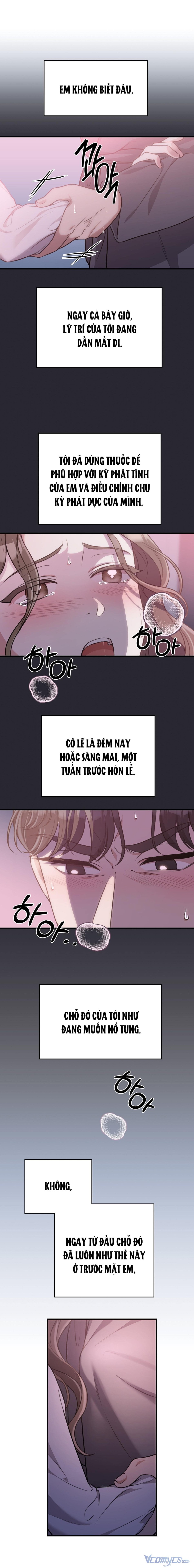 [18+] Cướp Dâu 