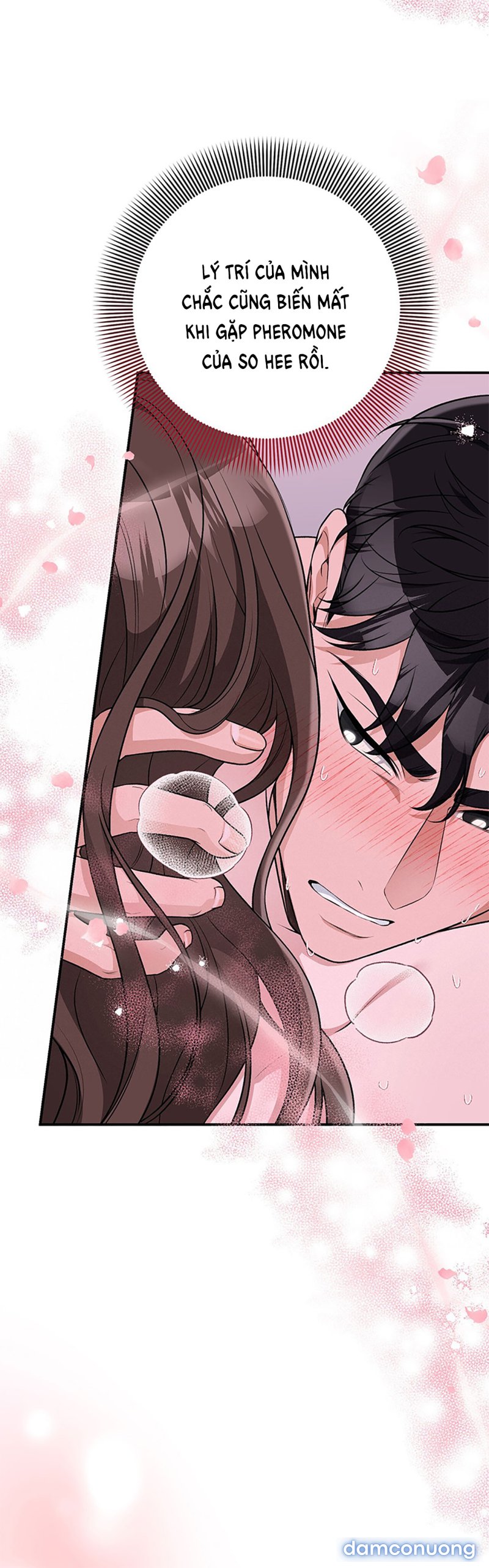 [18+] Cướp Dâu 