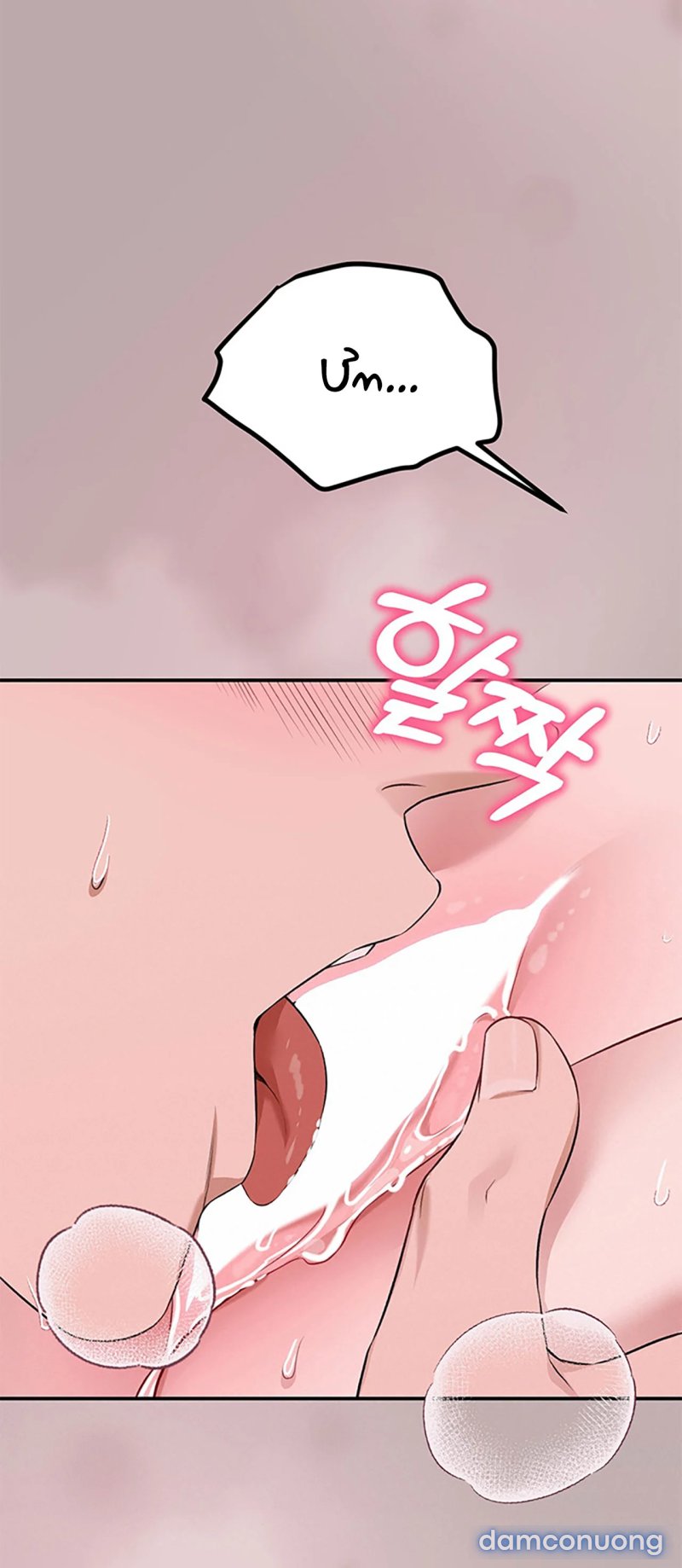 [18+] Cướp Dâu 