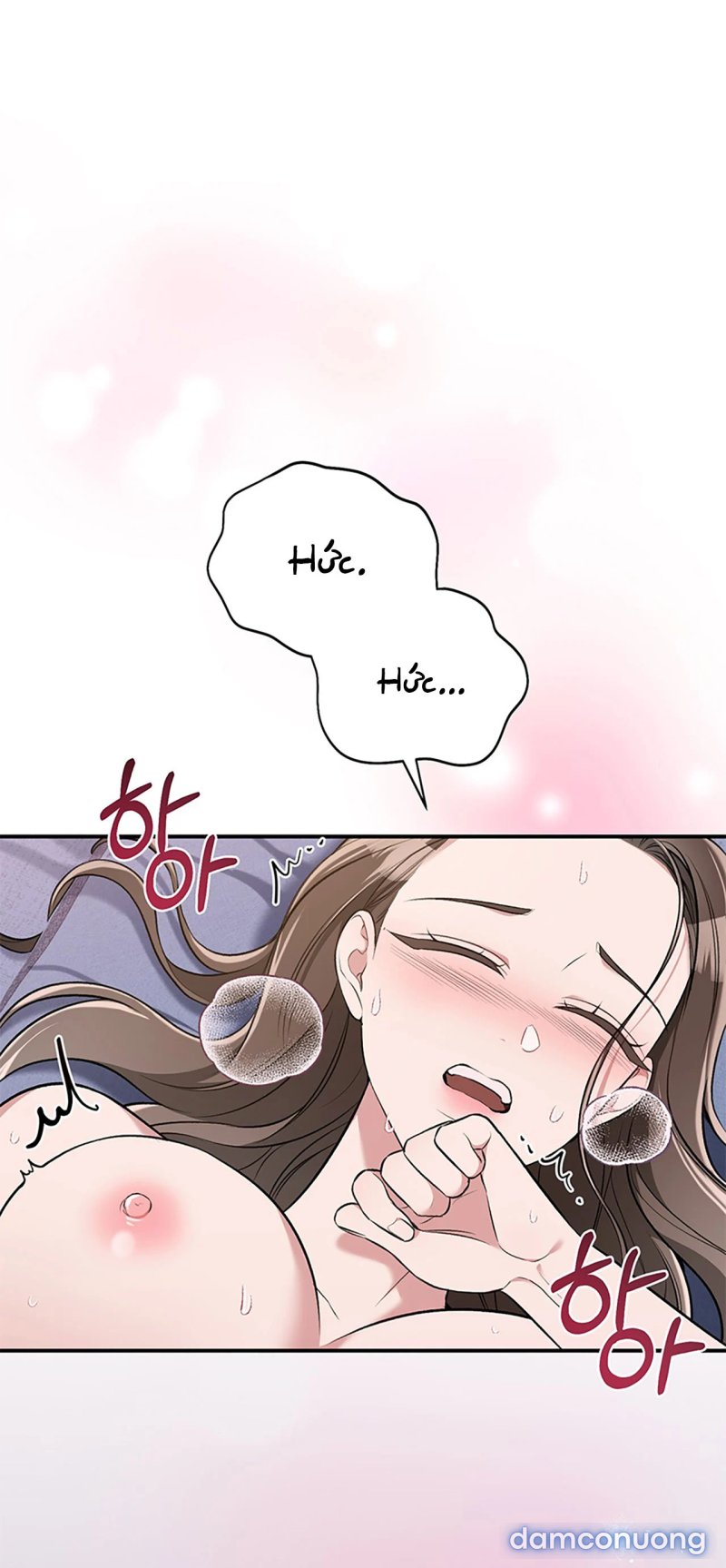 [18+] Cướp Dâu 