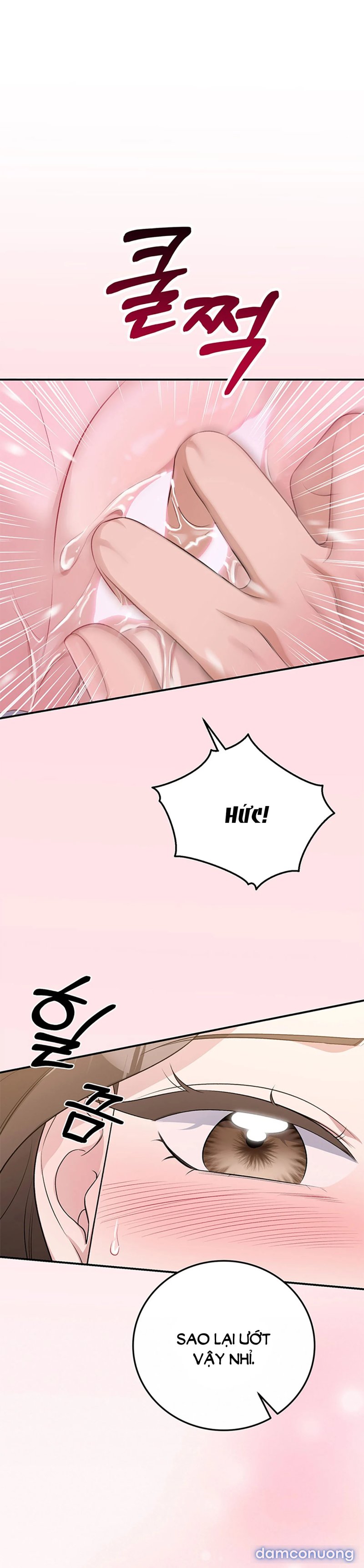 [18+] Cướp Dâu 