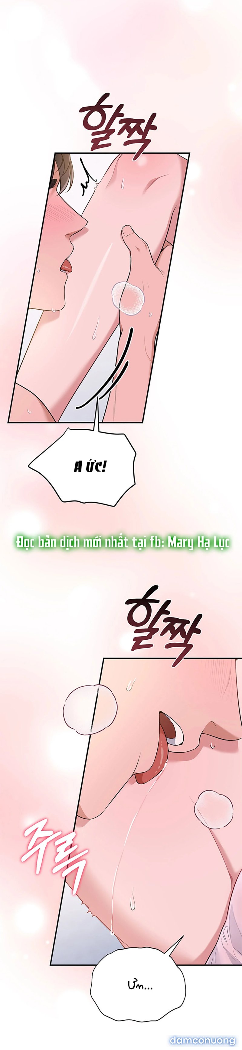 [18+] Cướp Dâu 