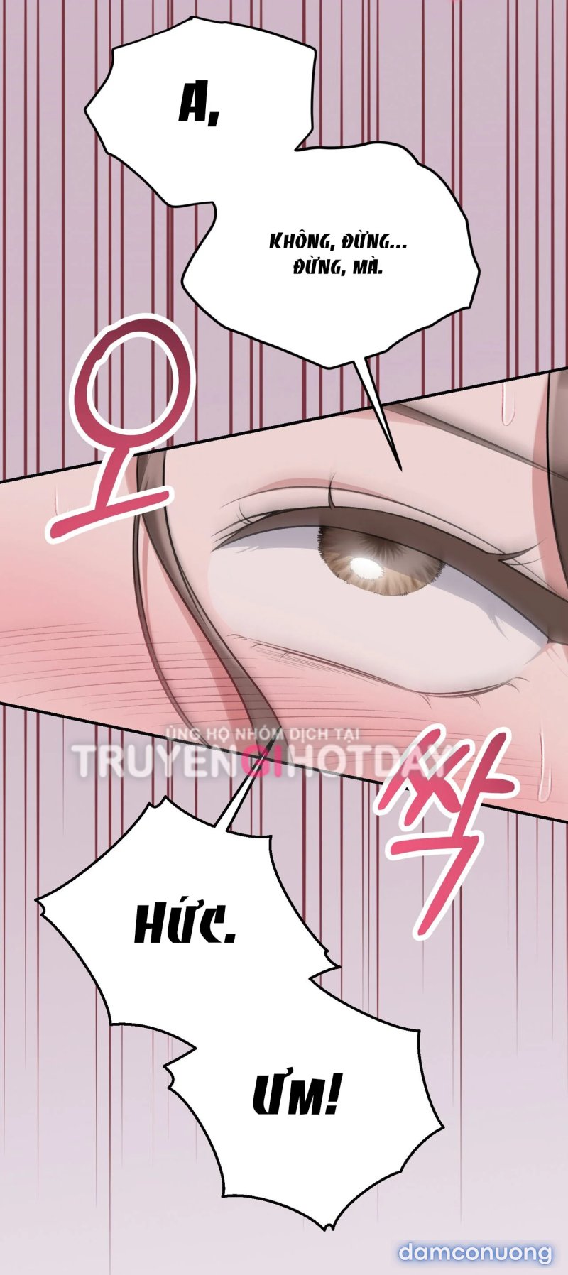 [18+] Cướp Dâu 