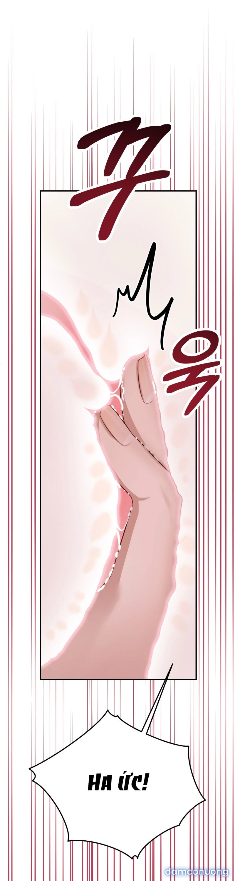 [18+] Cướp Dâu 