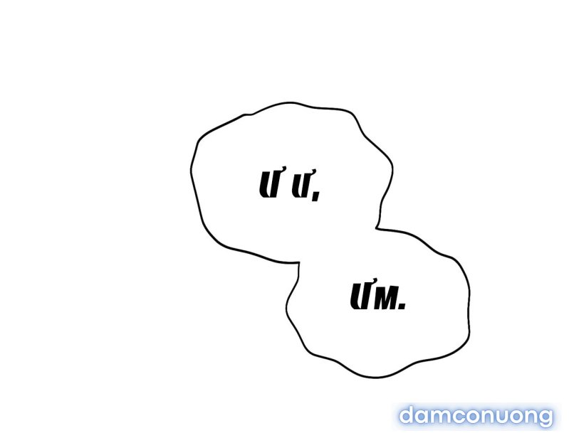 [18+] Cướp Dâu 