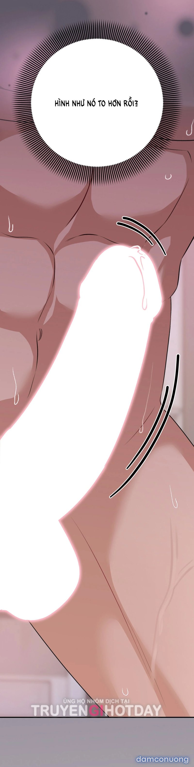[18+] Cướp Dâu 