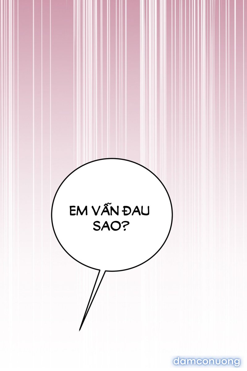 [18+] Cướp Dâu 