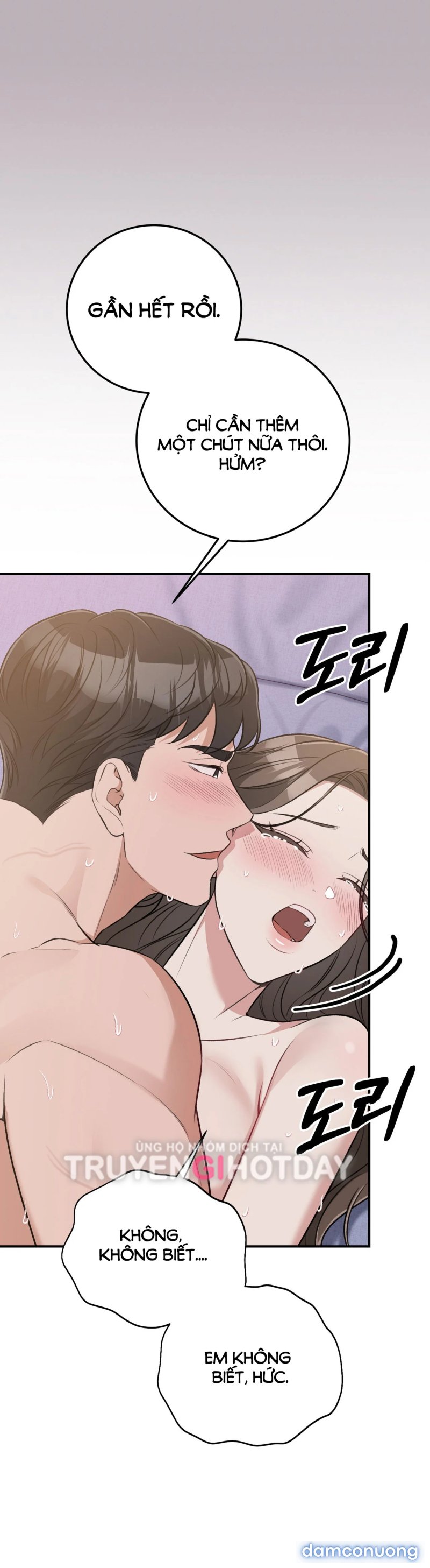 [18+] Cướp Dâu 