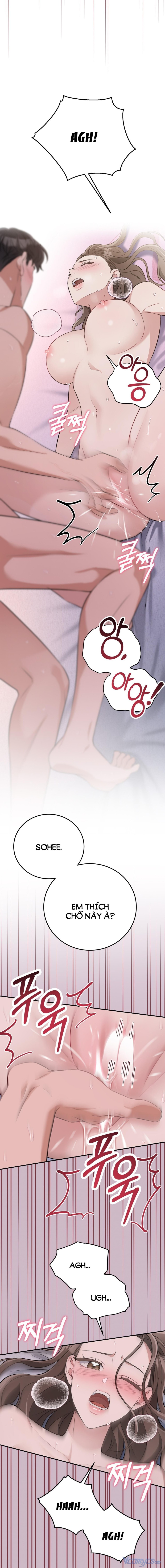 [18+] Cướp Dâu 