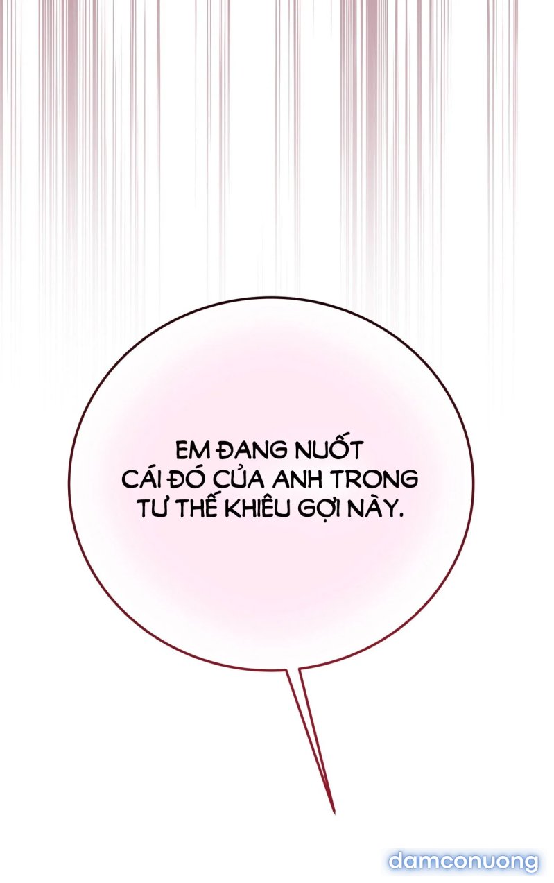 [18+] Cướp Dâu 