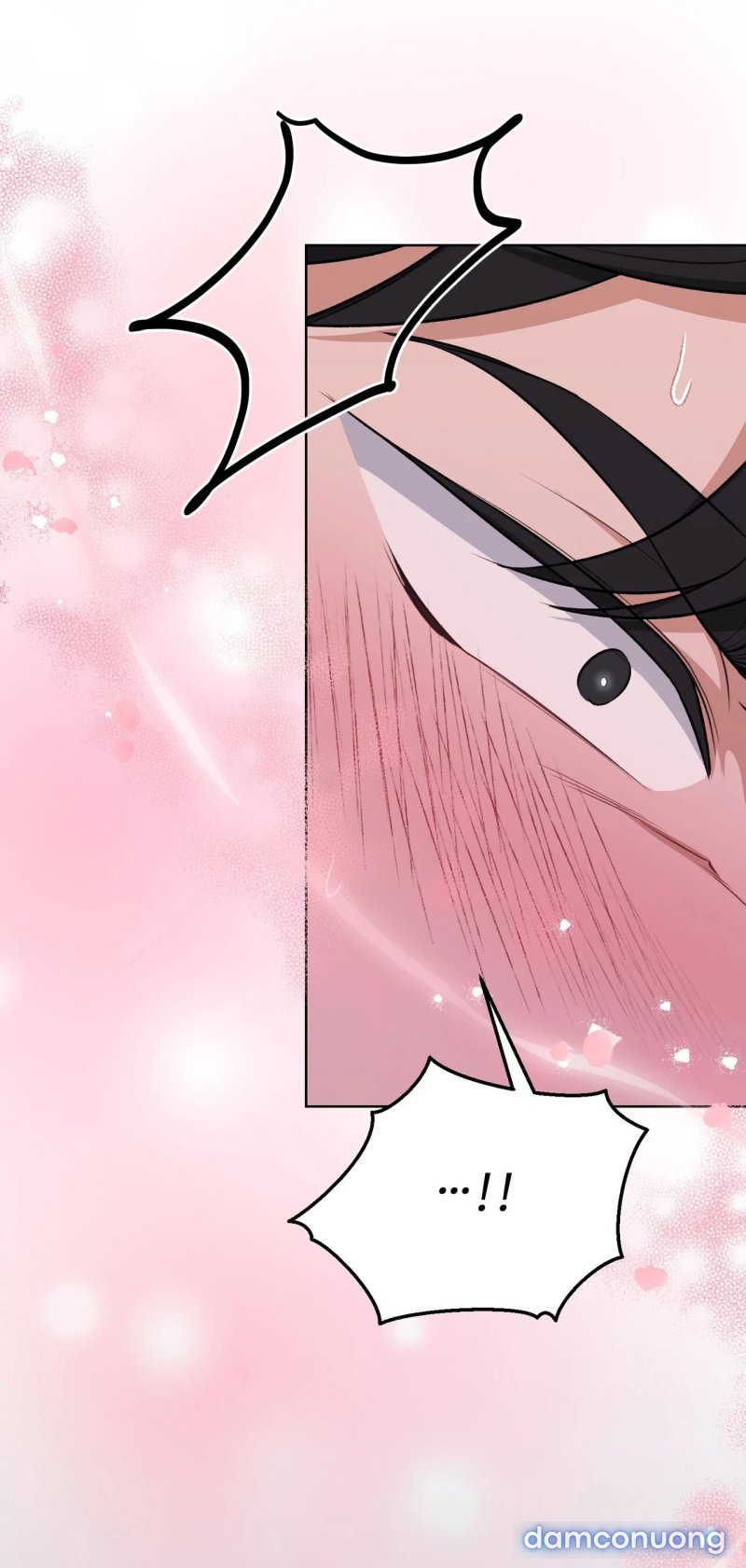 [18+] Cướp Dâu 