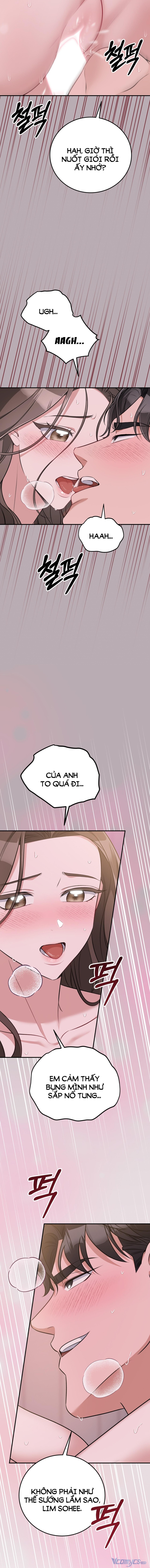 [18+] Cướp Dâu 