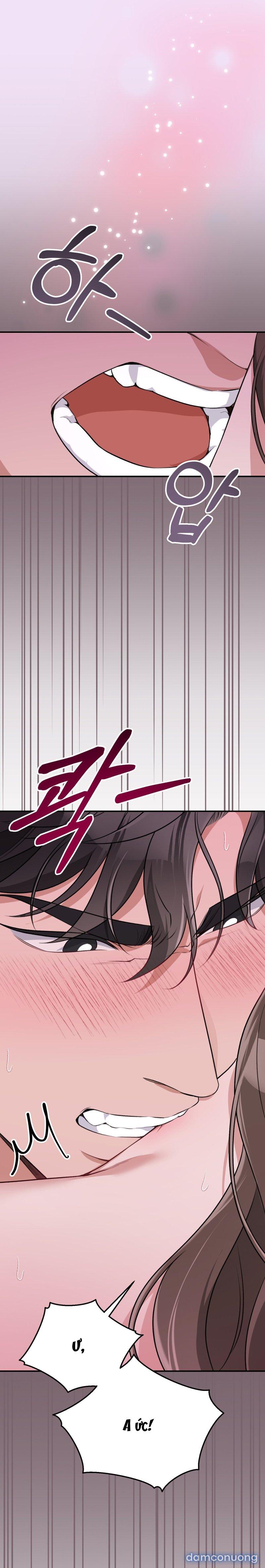 [18+] Cướp Dâu 
