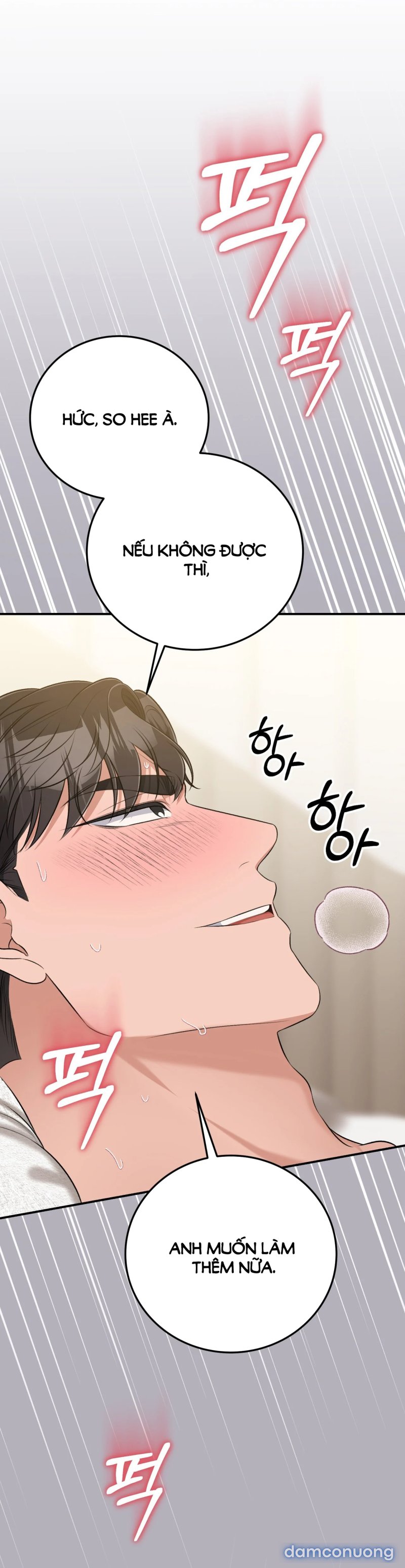 [18+] Cướp Dâu 