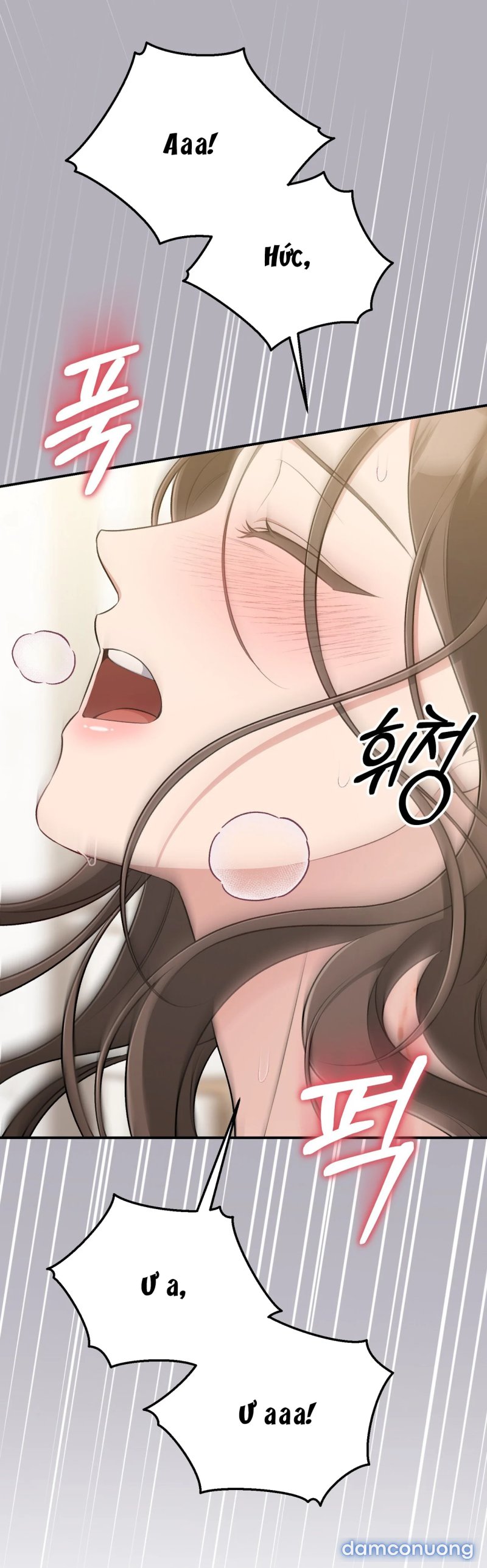 [18+] Cướp Dâu 