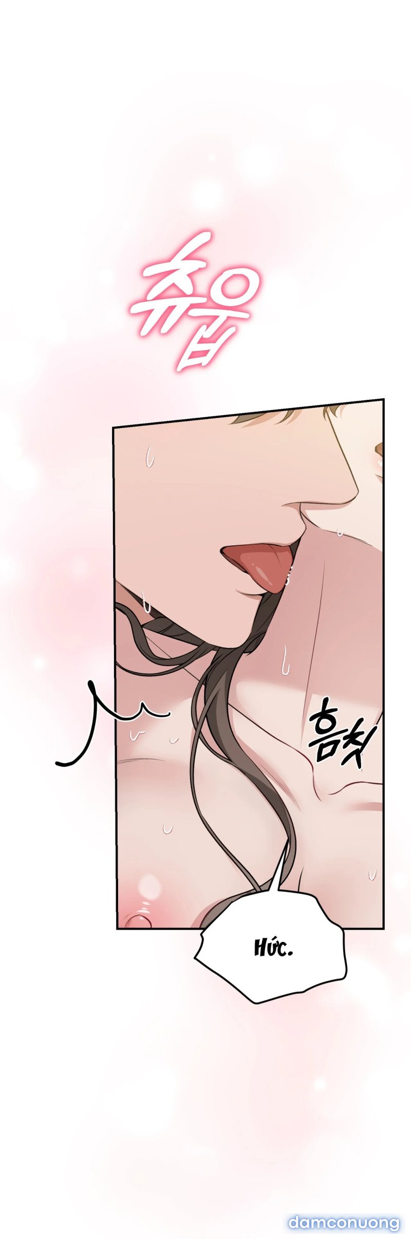 [18+] Cướp Dâu 