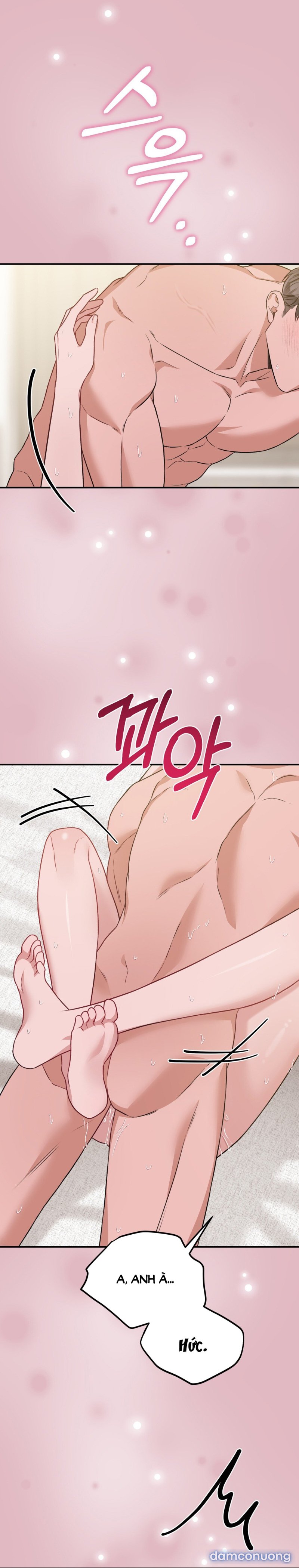 [18+] Cướp Dâu 