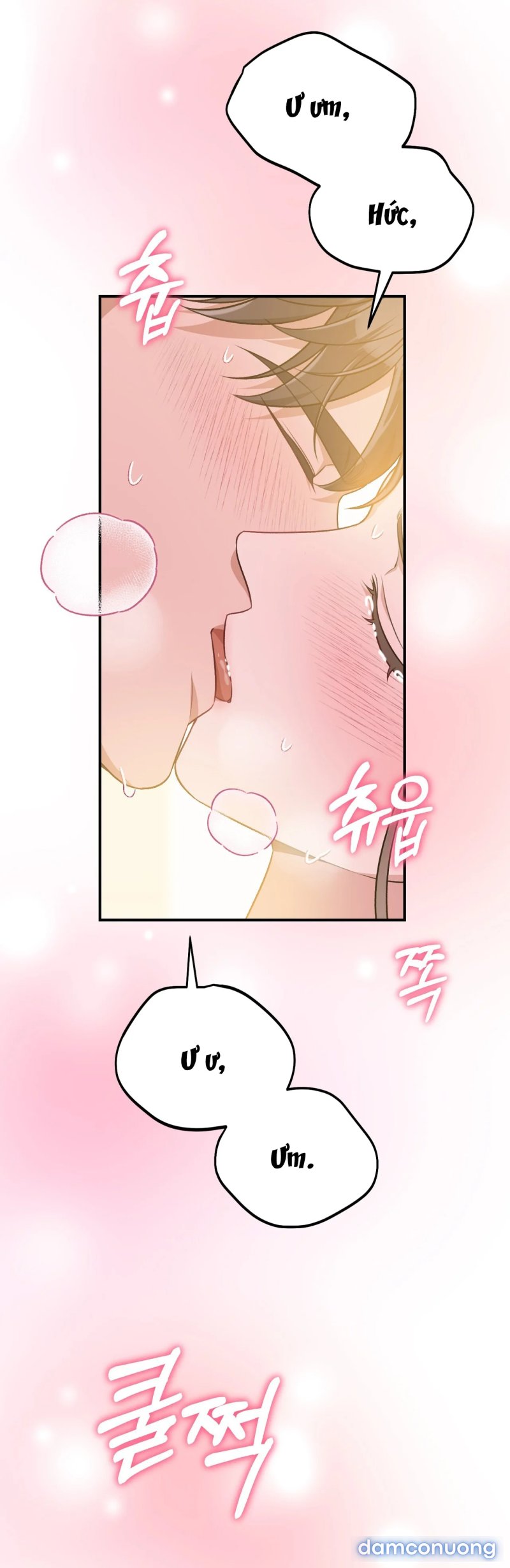 [18+] Cướp Dâu 