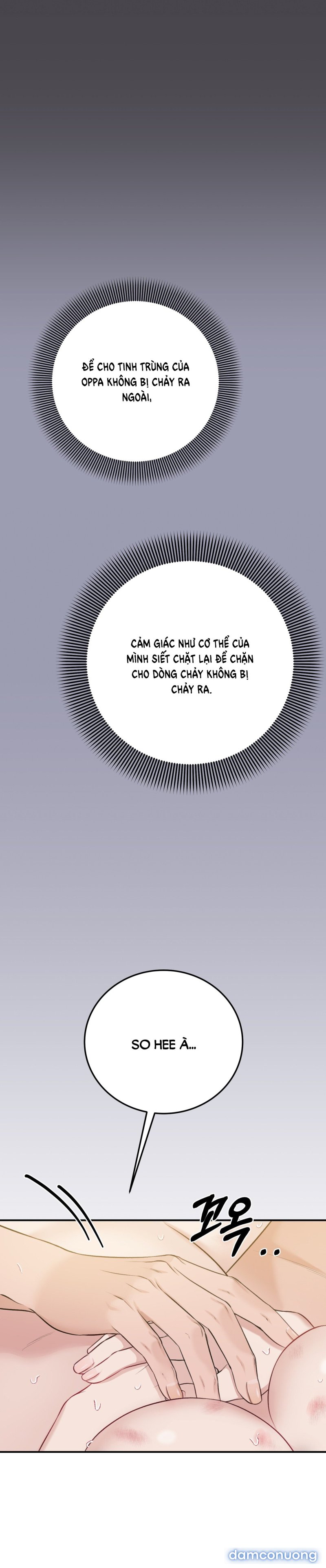 [18+] Cướp Dâu 