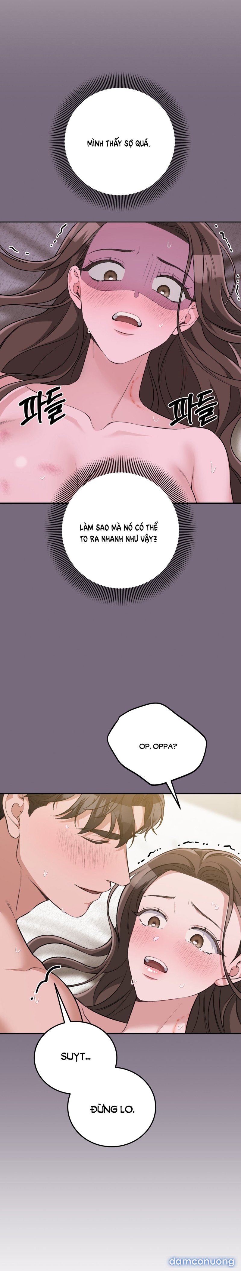[18+] Cướp Dâu 