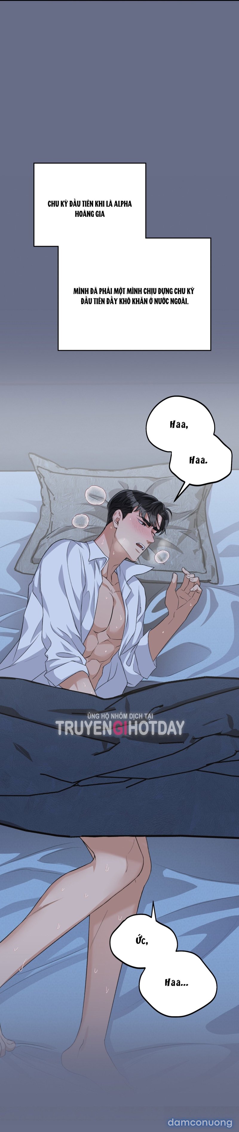 [18+] Cướp Dâu 