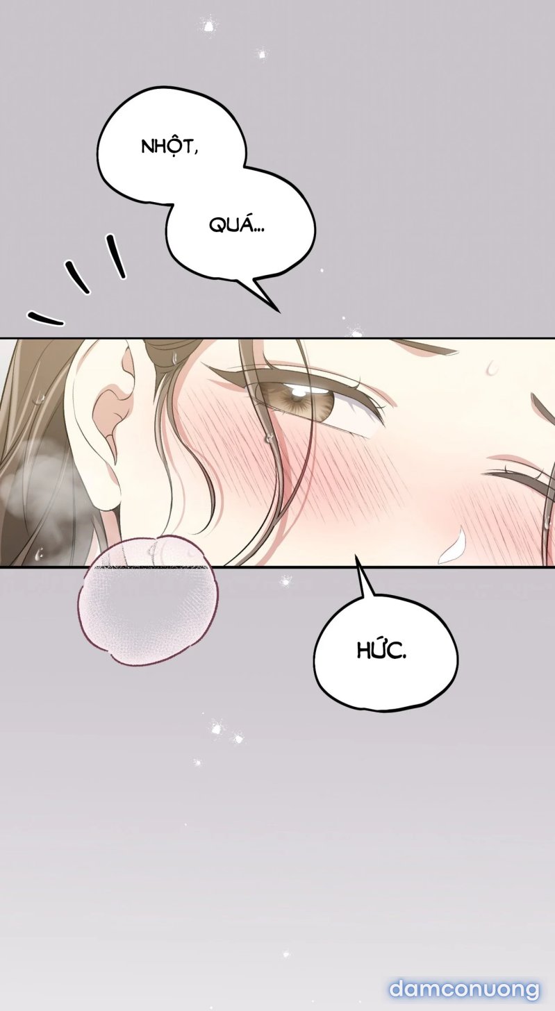 [18+] Cướp Dâu 