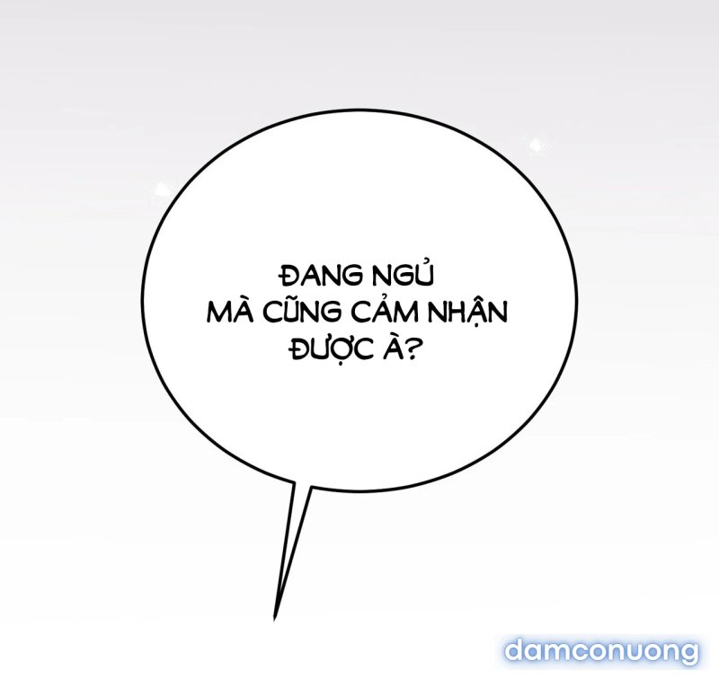 [18+] Cướp Dâu 