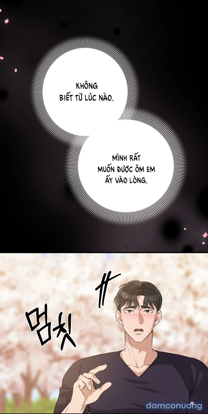 [18+] Cướp Dâu 