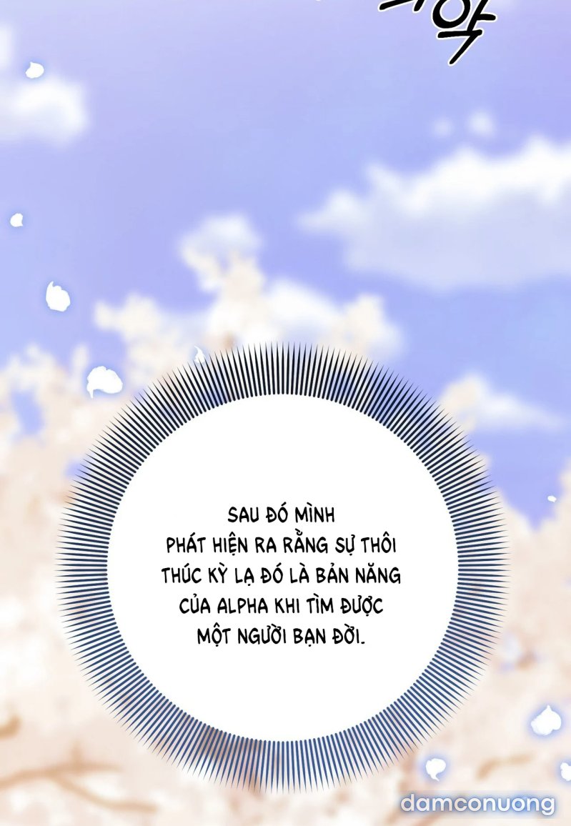 [18+] Cướp Dâu 