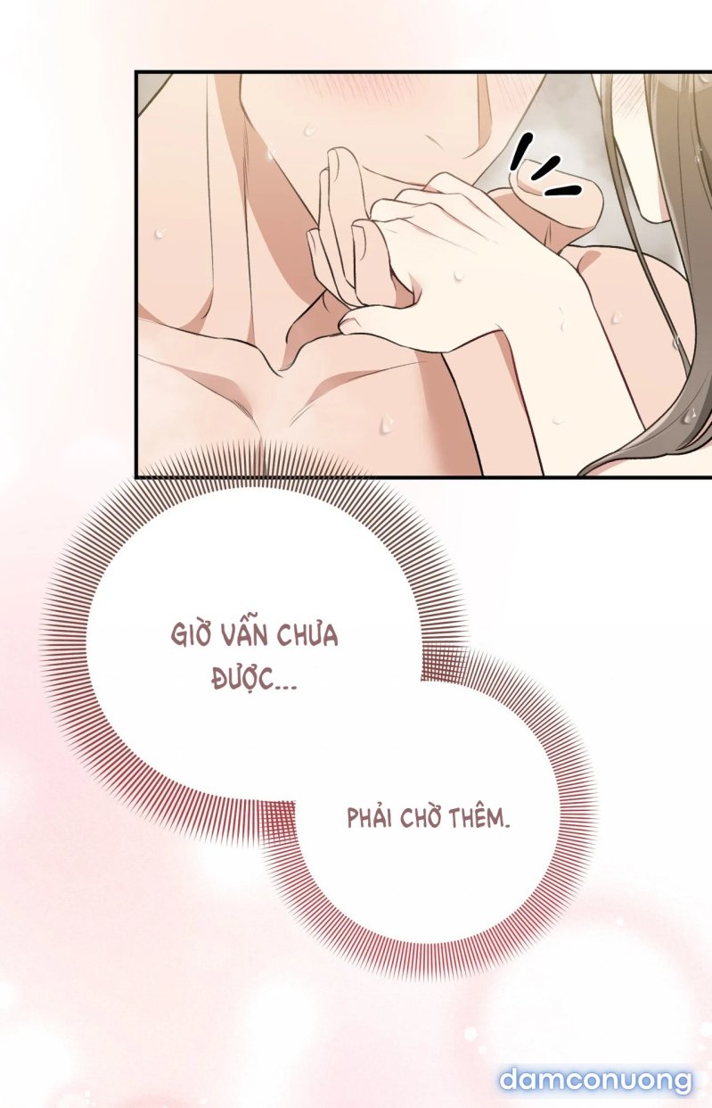 [18+] Cướp Dâu 
