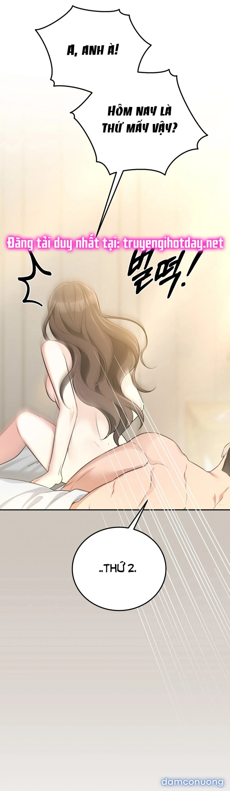 [18+] Cướp Dâu 
