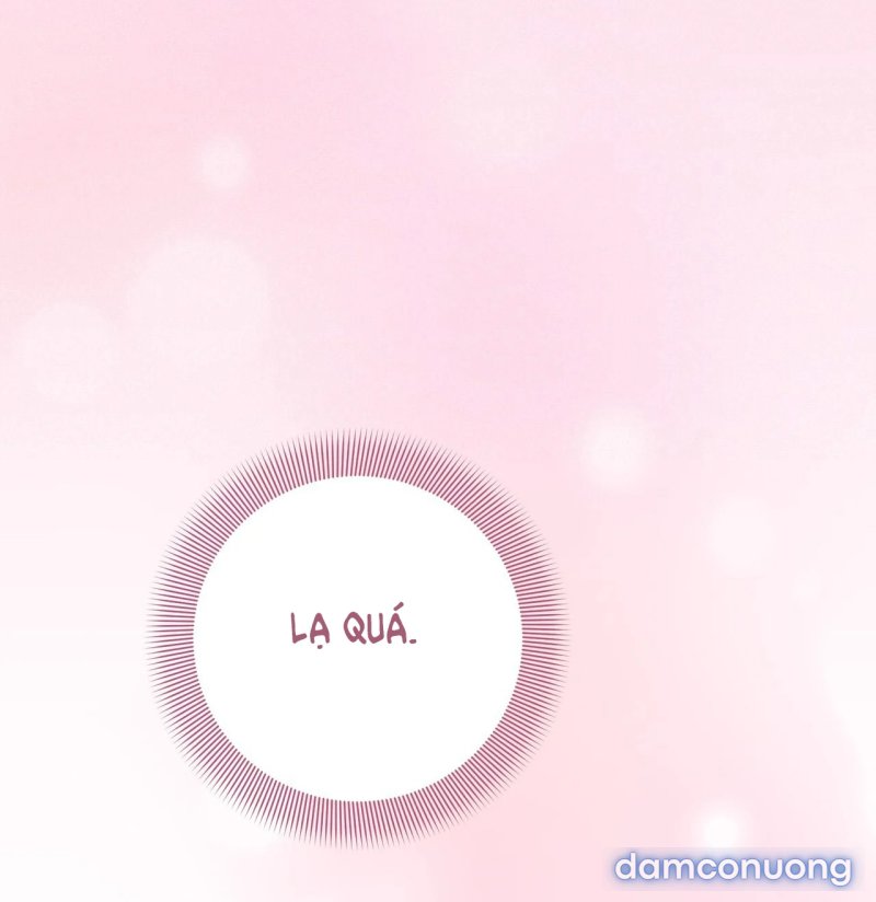 [18+] Cướp Dâu 