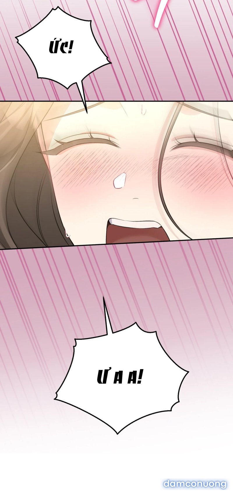 [18+] Cướp Dâu 