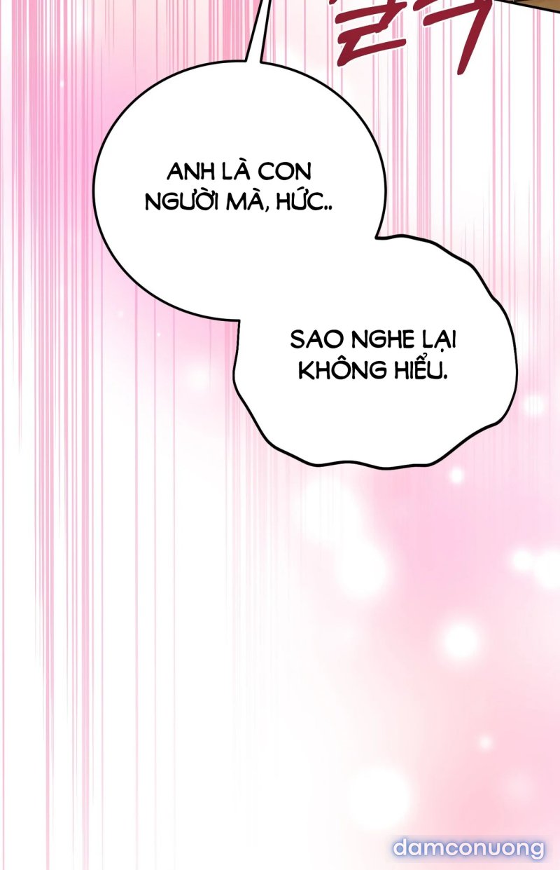 [18+] Cướp Dâu 