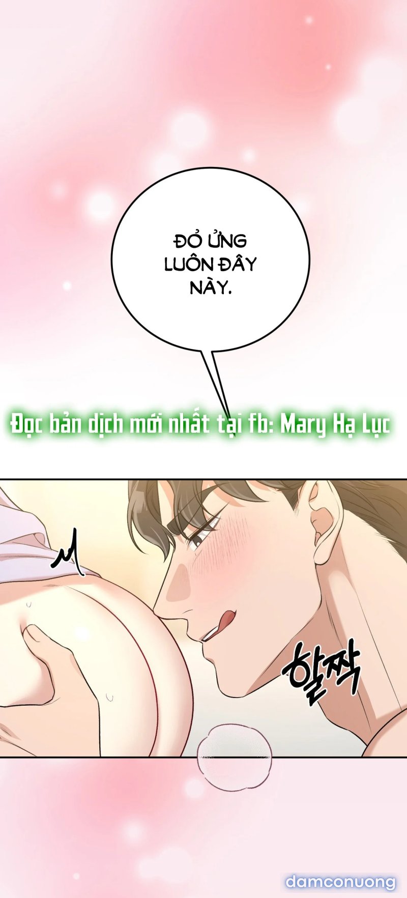 [18+] Cướp Dâu 