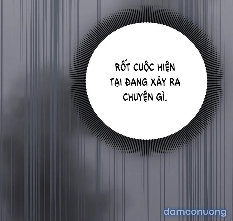 [18+] Cướp Dâu 