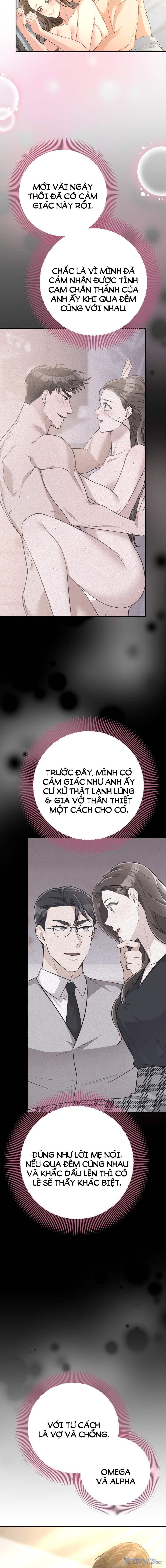 [18+] Cướp Dâu 
