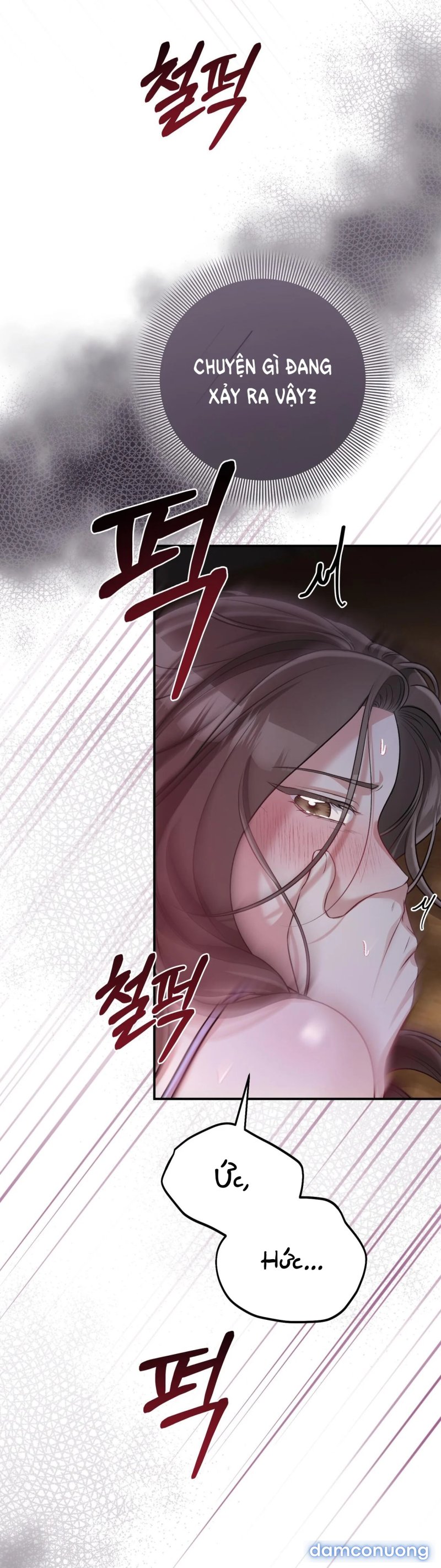 [18+] Cướp Dâu 