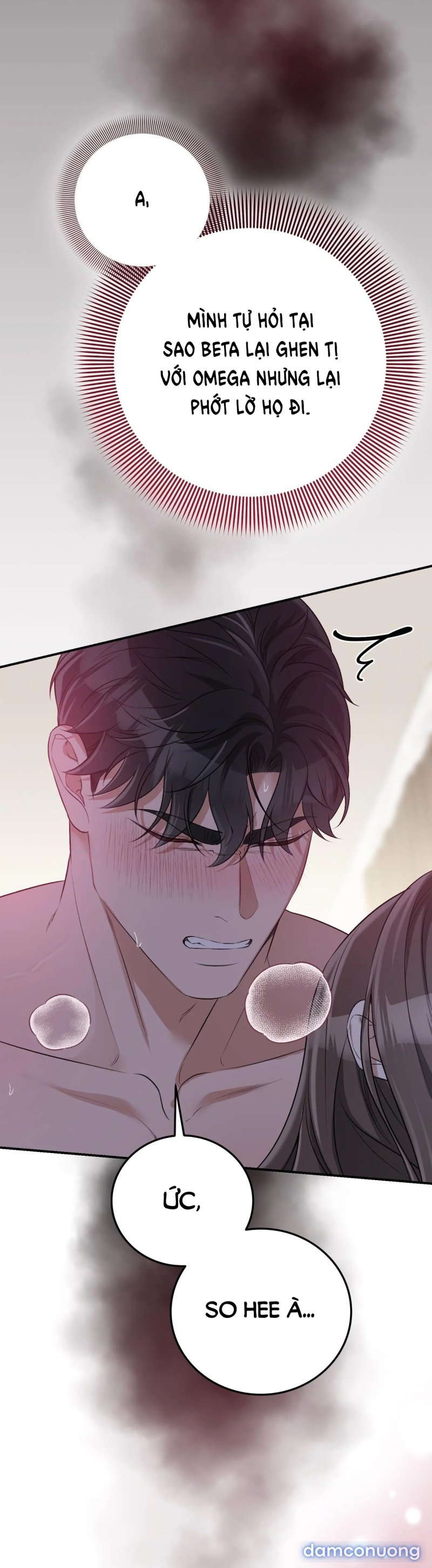 [18+] Cướp Dâu 
