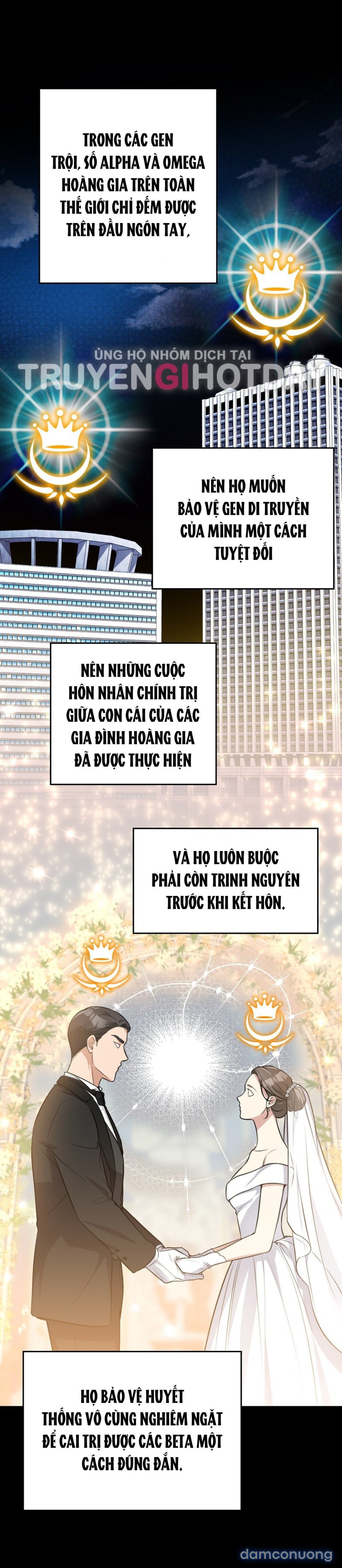 [18+] Cướp Dâu 