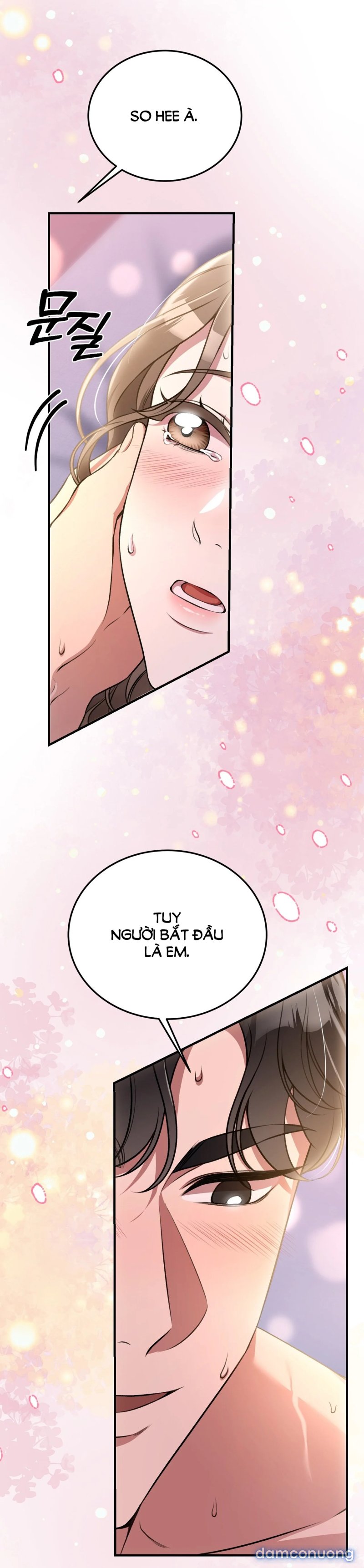 [18+] Cướp Dâu 