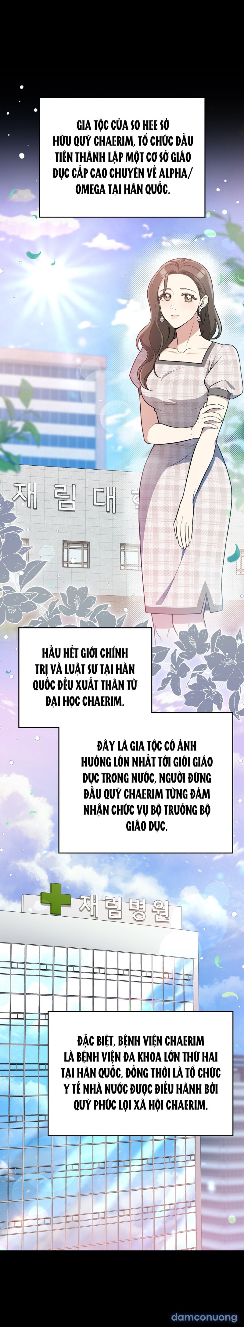[18+] Cướp Dâu 