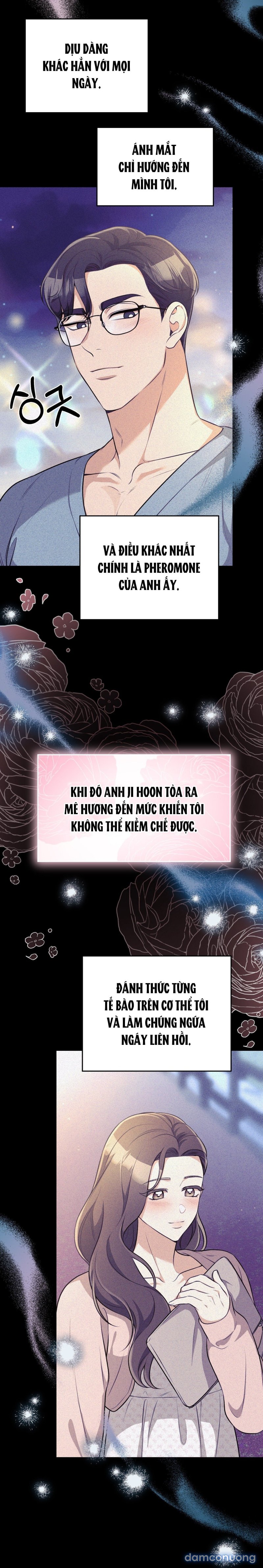 [18+] Cướp Dâu 