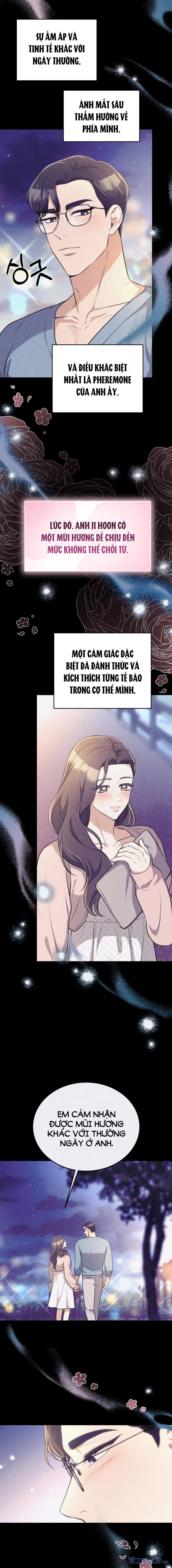 [18+] Cướp Dâu 
