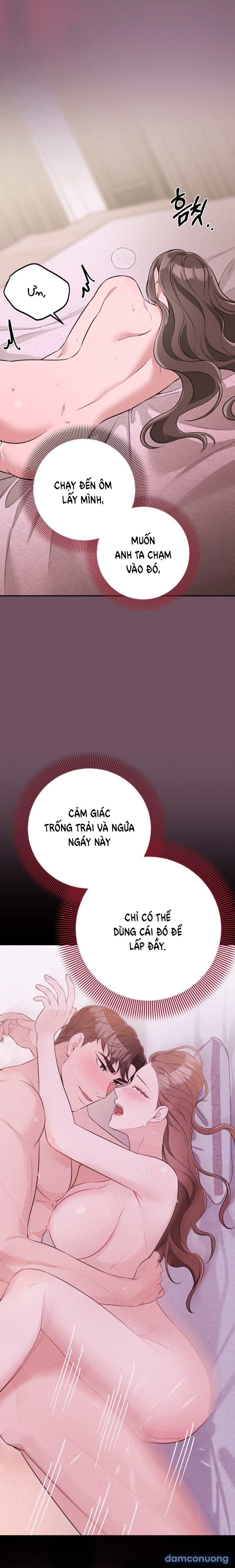 [18+] Cướp Dâu 