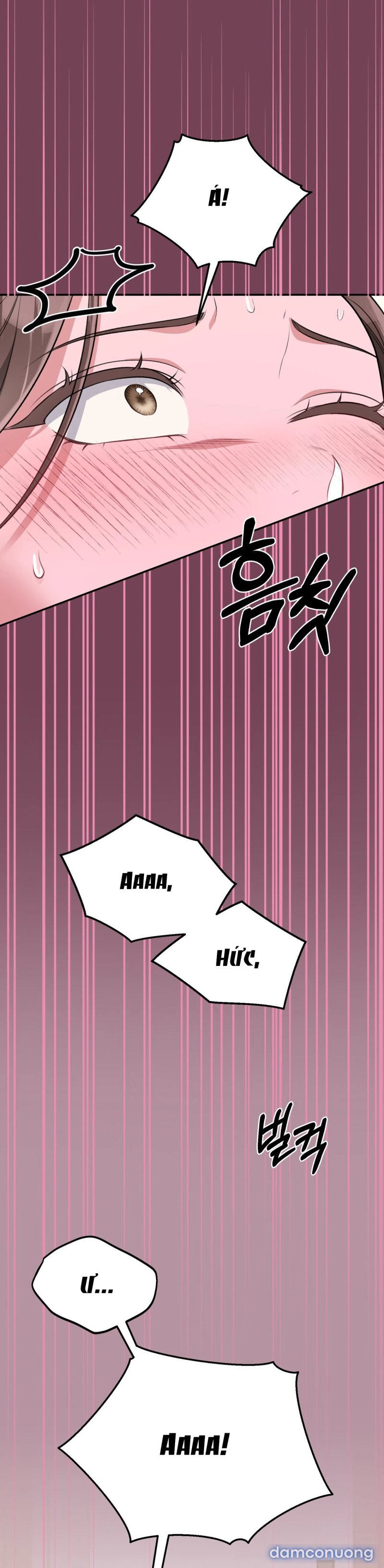 [18+] Cướp Dâu 