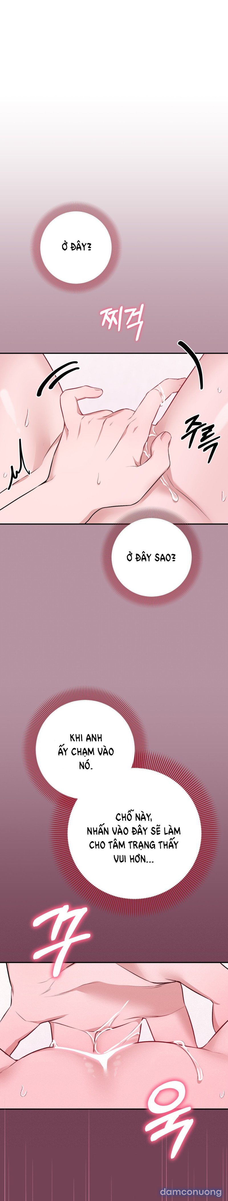 [18+] Cướp Dâu 