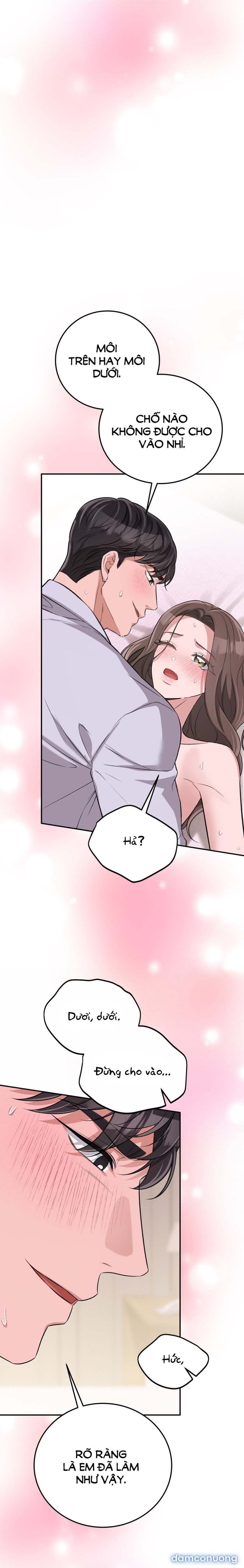 [18+] Cướp Dâu 