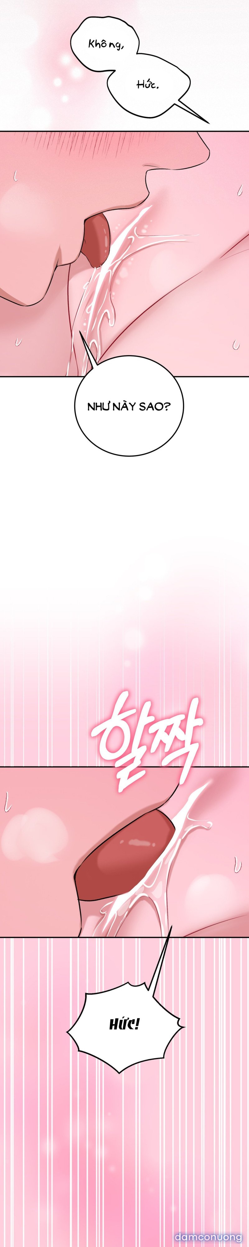 [18+] Cướp Dâu 